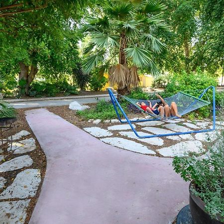 Jordan Valley Birding Lodge Kefar Ruppin Extérieur photo