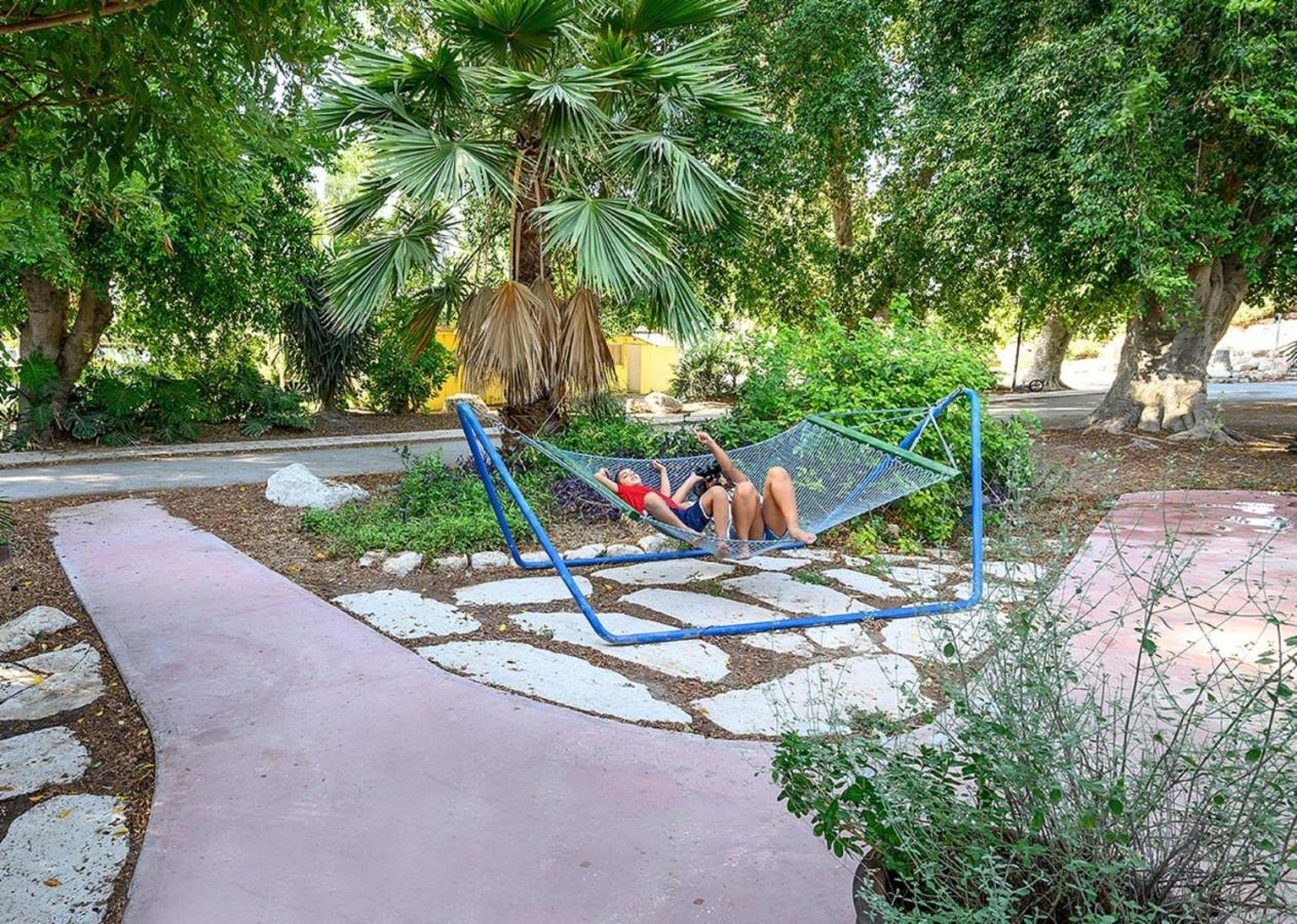Jordan Valley Birding Lodge Kefar Ruppin Extérieur photo
